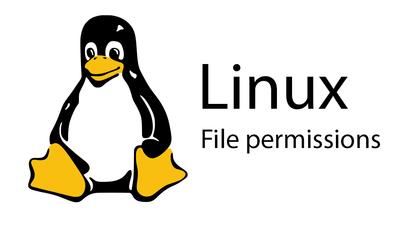 How To Change File Permissions In Linux Skillsugar