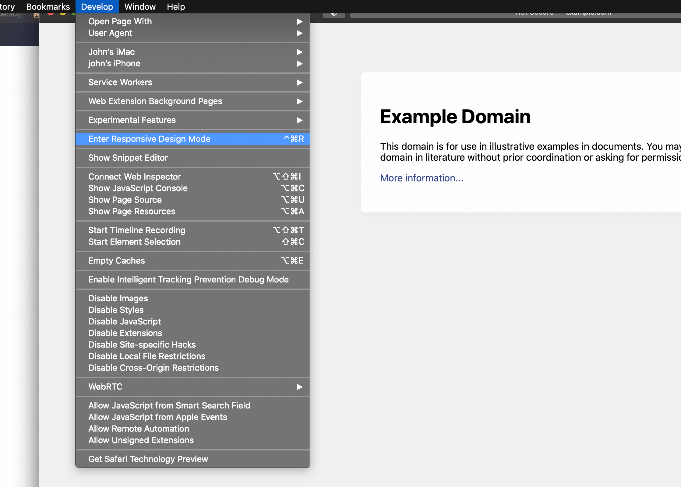 safari dev console mobile view