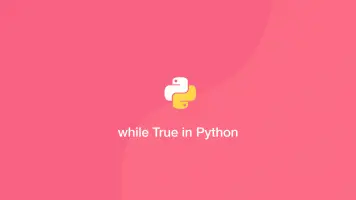 How to Use While Loops in Python - SkillSugar